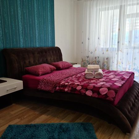 Premium Apartment Isaran Brasov Bagian luar foto